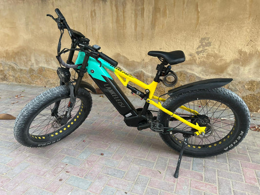 wanted gesucht FATE-Bike Lankeleisi RV800 gestohlen im August 2025 in Moraira Spanien