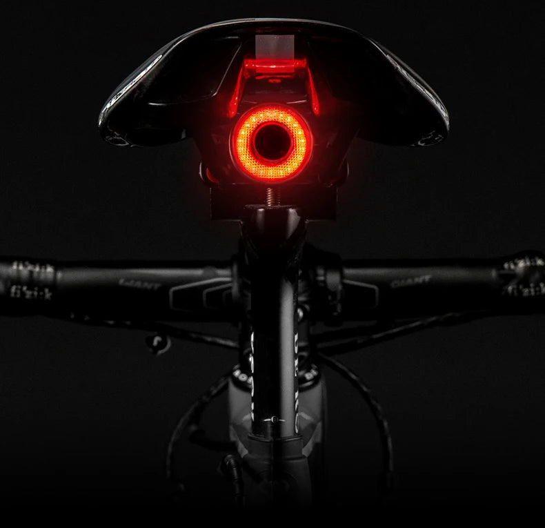 ROCKBROS Smart Bicycle Rear Light Automatic Brake Light