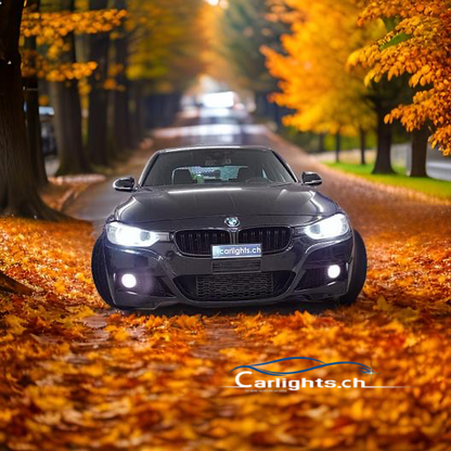 BMW 3er F30/F31  6. Gen. Facelift  ab 2015-2019 Abblend-/Fernlicht LED Upgrade Set