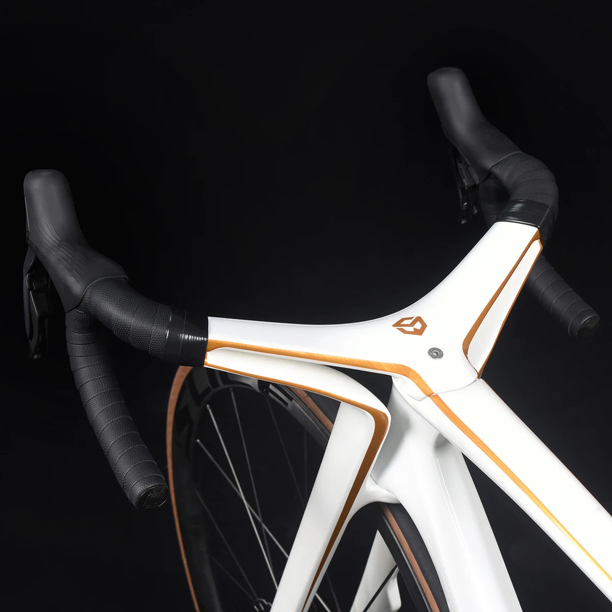 SAVA Dream Maker Full Carbon Fiber Bike Strap SHIMAN0 Di2 8170 24 Speed Hydraulic Disc Brake High End Race Class Road Bike