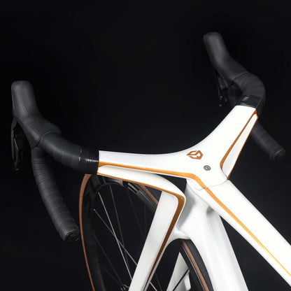 SAVA Dream Maker Full Carbon Fiber Bike Strap SHIMAN0 Di2 8170 24 Speed Hydraulic Disc Brake High End Race Class Road Bike